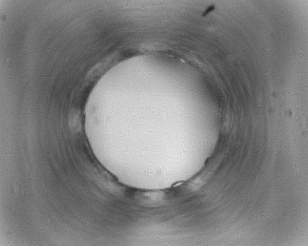 X0000074960478200609291917