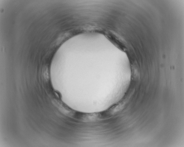 X0000074960479200609291917