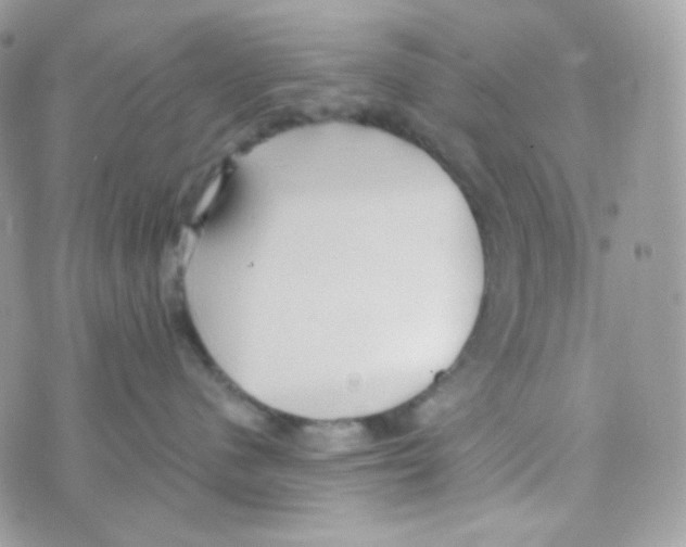 X0000074960480200609291917