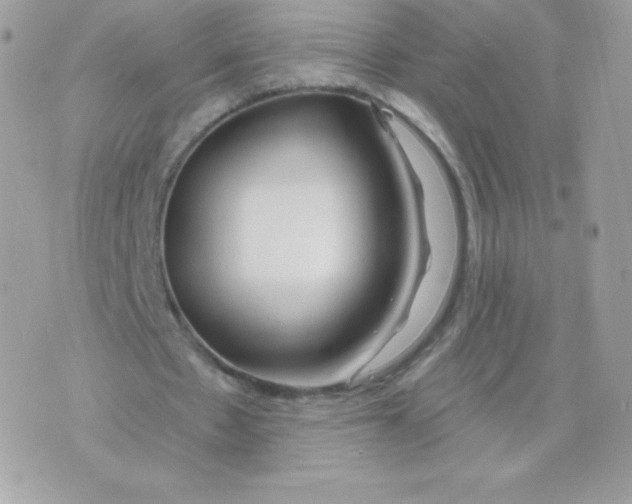 X0000074960481200609291916