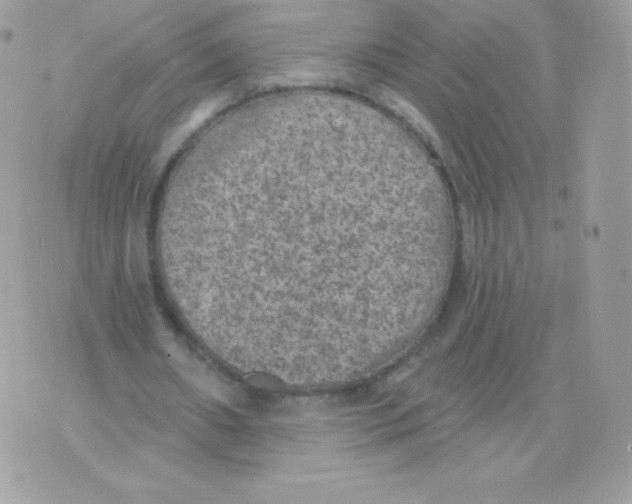 X0000074960482200609291916