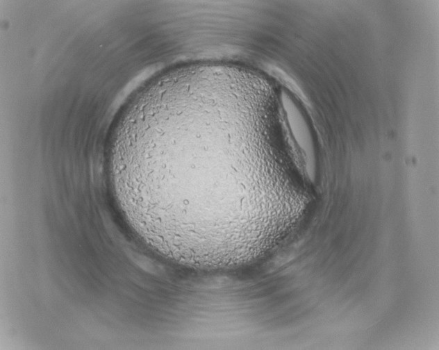 X0000074960483200609291916