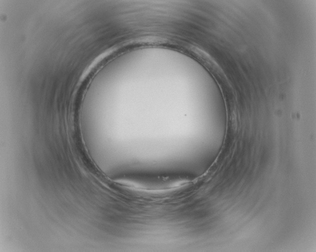 X0000074960484200609291916