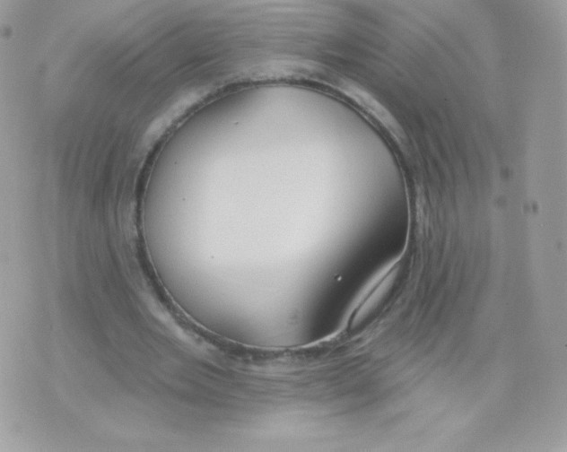 X0000074960485200609291916