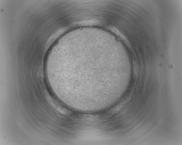 X0000074960486200609291916