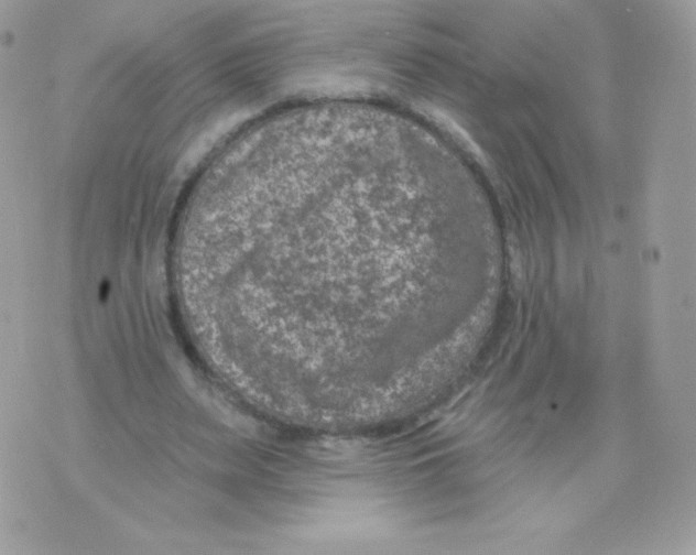 X0000074960487200609291916