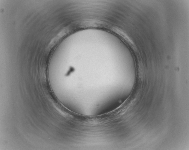 X0000074960489200609291916