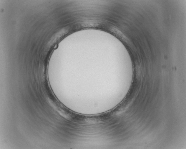 X0000074960490200609291916