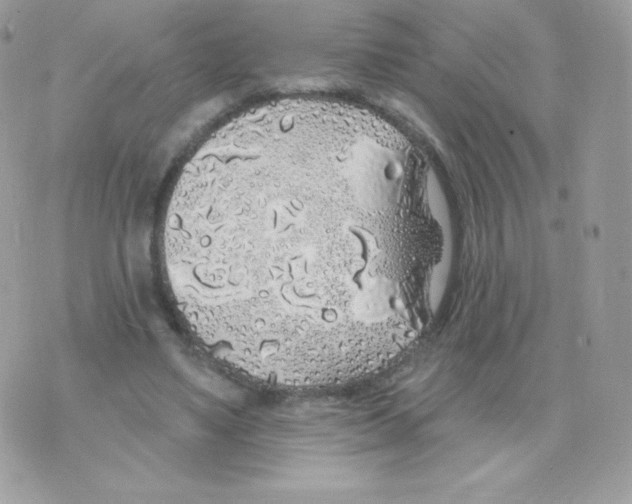 X0000074960491200609291916