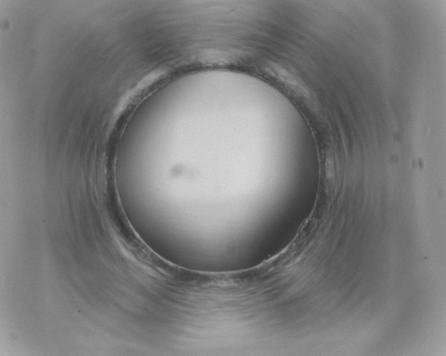 X0000074960492200609291916