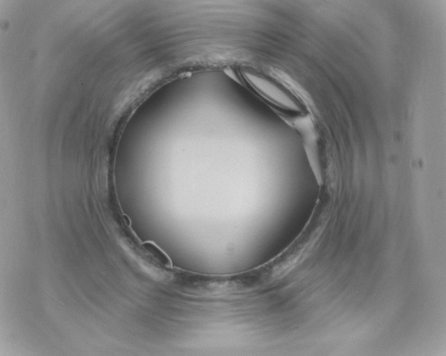 X0000074960493200609291916