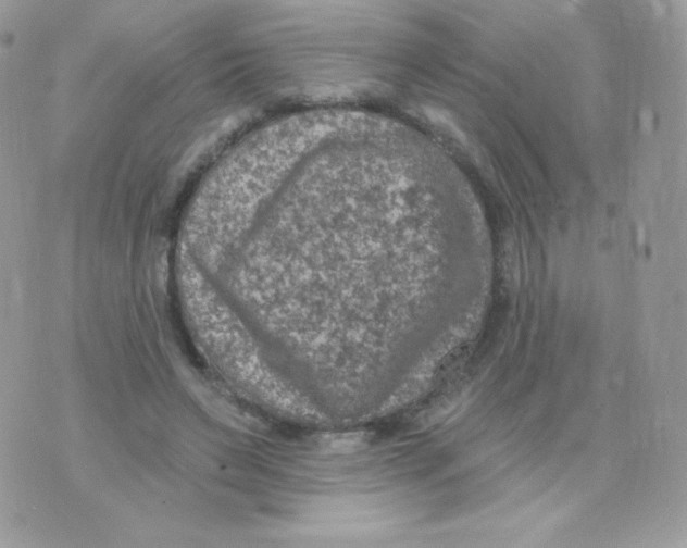 X0000074960495200609291916