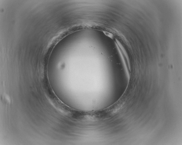 X0000074960496200609291916