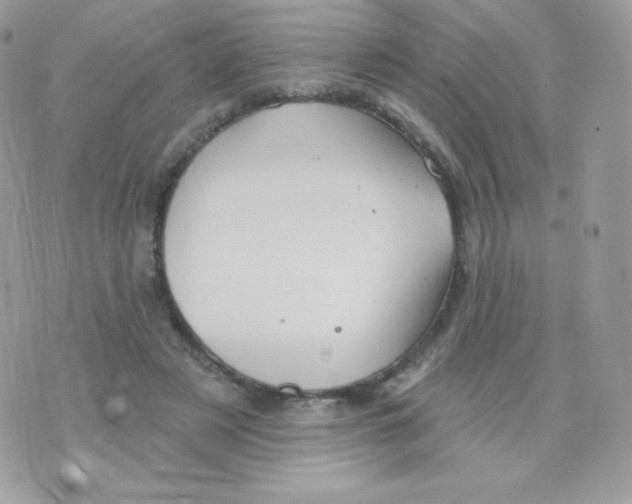 X0000074960497200609291916