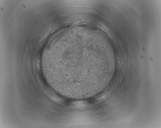 X0000074960499200609291916