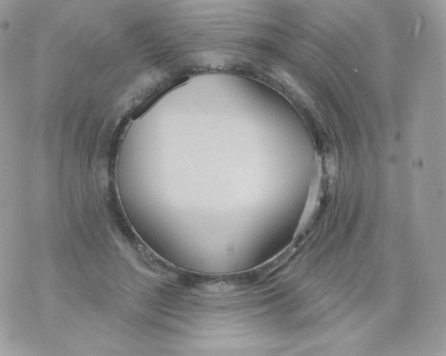 X0000074960500200609291916