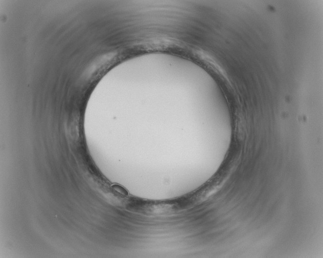 X0000074960501200609291916