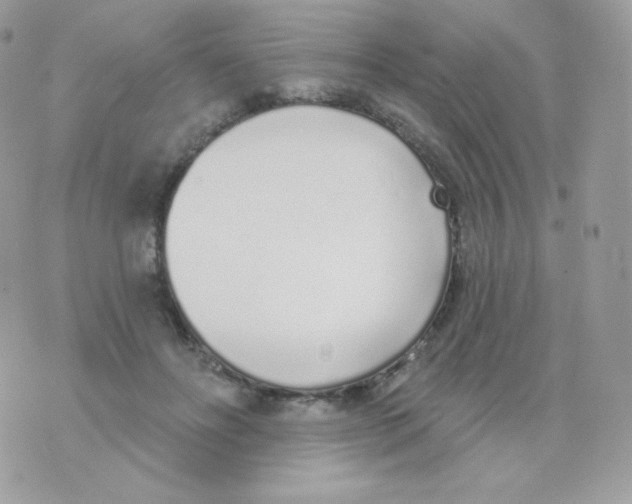 X0000074960502200609291916