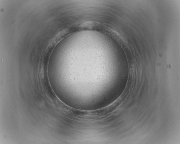 X0000074960504200609291916