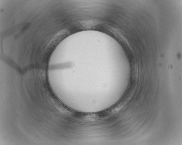 X0000074960505200609291916