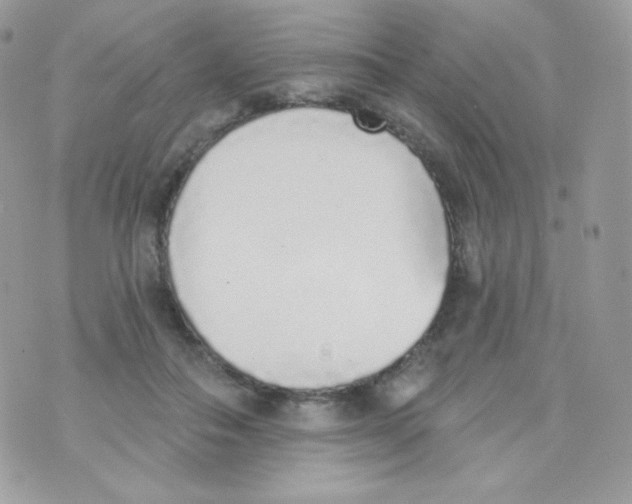 X0000074960506200609291916