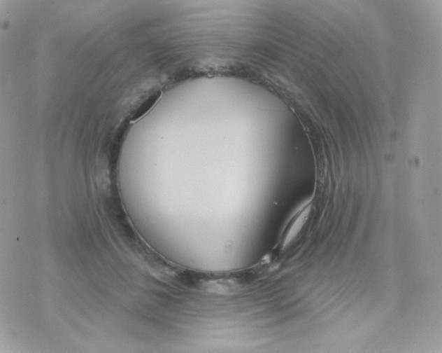 X0000074960508200609291916