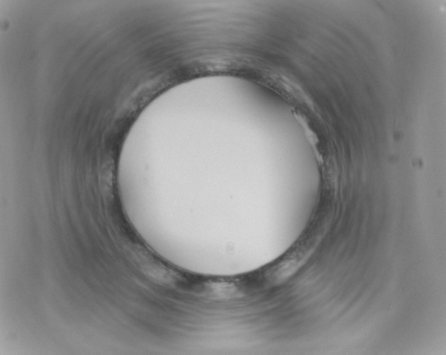 X0000074960509200609291916