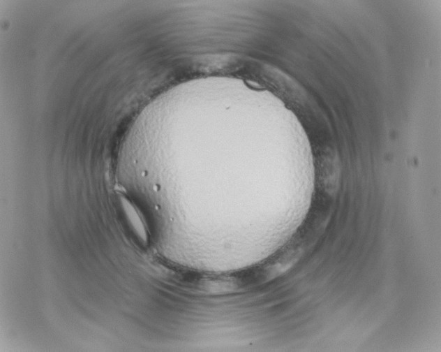 X0000074960510200609291916