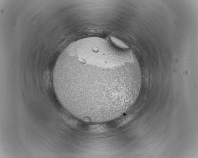 X0000074960511200609291916