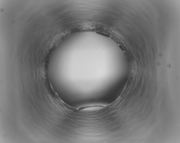 X0000074960512200609291916