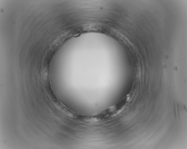 X0000074960513200609291916