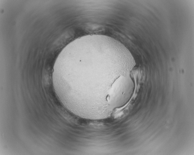 X0000074960515200609291916