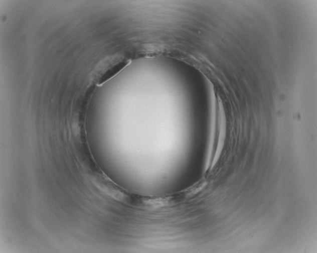 X0000074960516200609291916