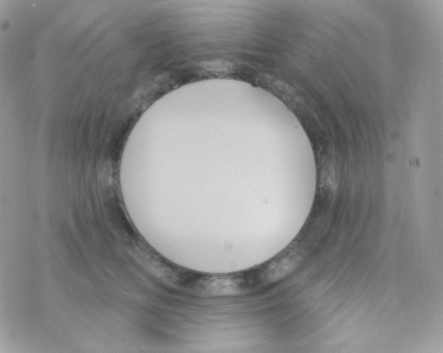 X0000074960518200609291916