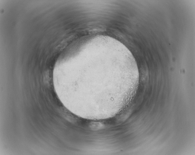 X0000074960519200609291916