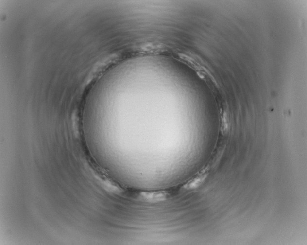 X0000074960520200609291916