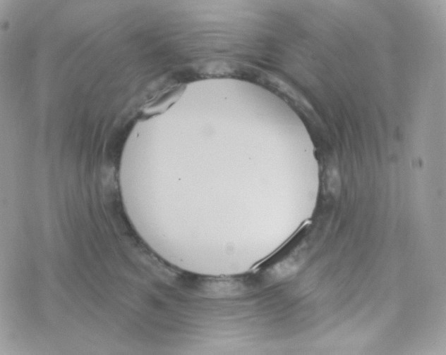 X0000074960521200609291916