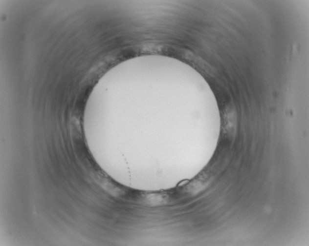 X0000074960522200609291916