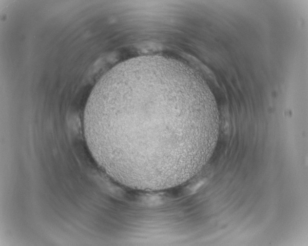 X0000074960523200609291916