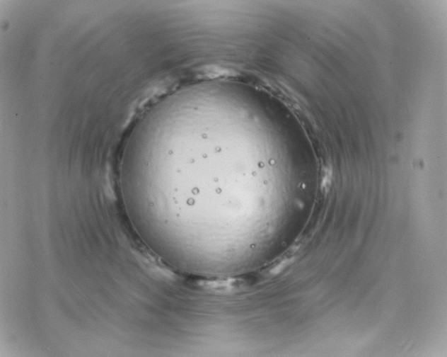 X0000074960524200609291916