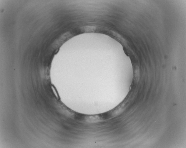 X0000074960525200609291916