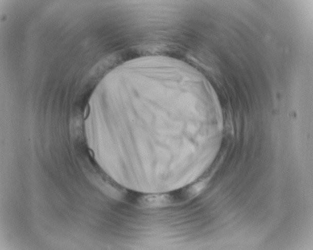 X0000074960526200609291916