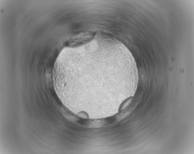 X0000074960527200609291916