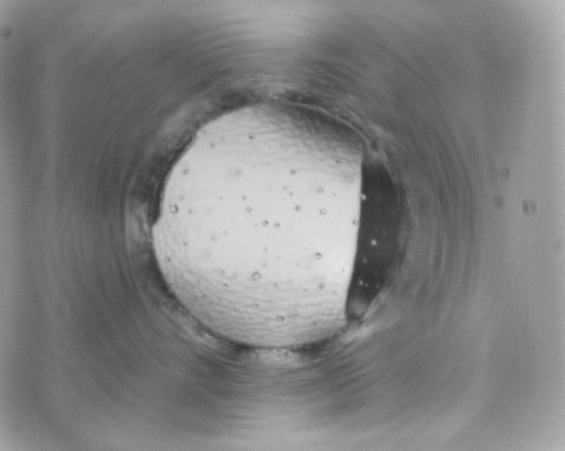 X0000074960528200609291916