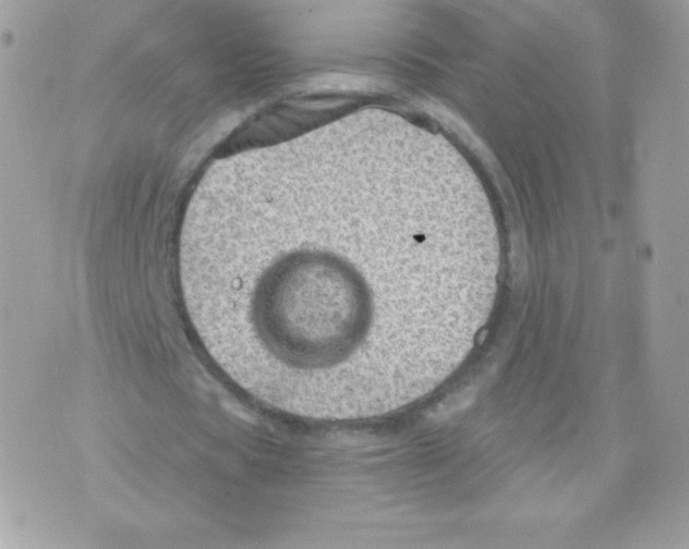 X0000074960529200609291915