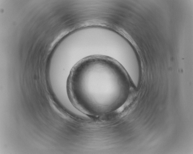 X0000074960530200609291915