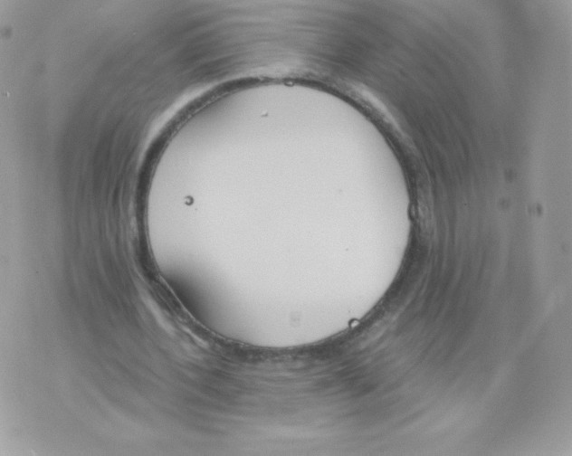 X0000074960532200609291915