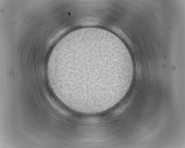 X0000074960533200609291915