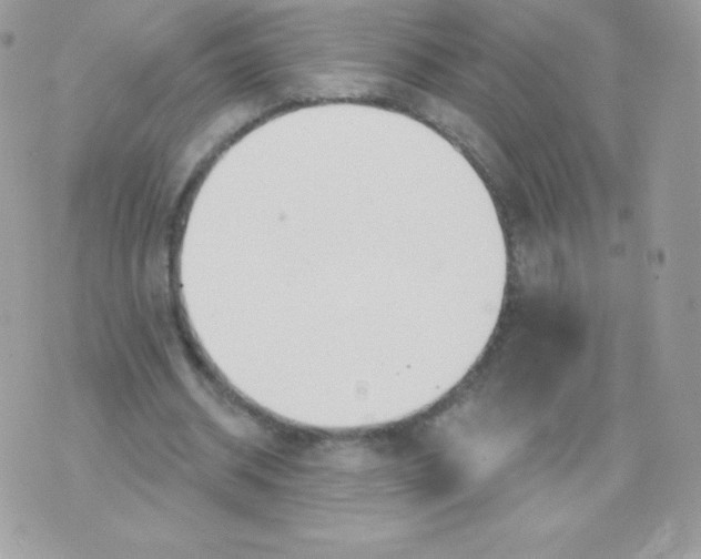 X0000074960534200609291915