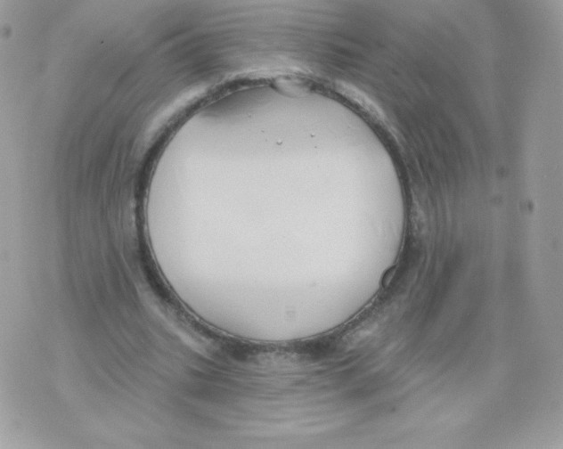 X0000074960535200609291915